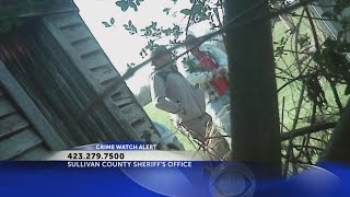 Sullivan County deputies seek burglary suspects