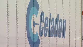 Celadon files Chapter 11 bankruptcy, shuts down business operations