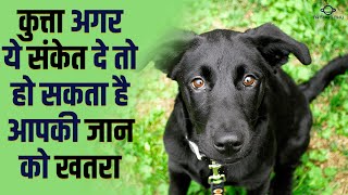 Dog Vastu | Kutta Palne Ke Fayde | Vastu For Dog | Benefits of Keeping Dog  #shorts