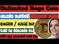 Free earn doge coin sinhala 2021 | doge coin free mining site sinhala | E money sri lanka |sl pancha