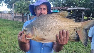 PESCARIA NA LAGOA ONDE COMPRAMOS OS PEIXES, E NA VOLTA ESSA PESCAMOS ESSE BITELO!