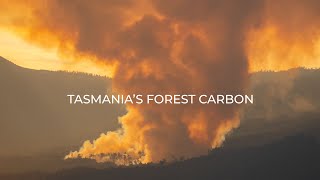 Tasmania's Forest Carbon