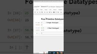 4 Primitive Datatypes in Python👀👀🤔🤔