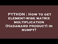 PYTHON : How to get element-wise matrix multiplication (Hadamard product) in numpy?