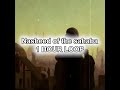 nasheed of the sahaba 1 hour loop #nasheed #islam #sahaba