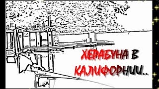 ХЕРАБУНА - В КАЛИФОРНИИ... САЗАН- чики :) 02-9-18          Music: http://www.purple-planet.com