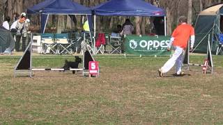 MOCO first run @OPDES 2013-03-17 （モコ秋ヶ瀬ノービス１度）