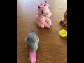 【マメルリハ】嬉しすぎてくねくねするラリマーちゃん parrot