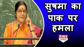 UN के मंच से Sushma ने PAK पर बोला हमला, Nawaz Sharif को बताई औकात