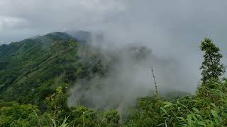 Best view at Bandarban.#bandarban  বান্দরবানের সেরা দৃশ্য।প্রাকৃতিক সৌন্দর্য। #মেঘ#নীলগিরি #পাহাড়।