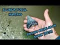 Florida Megalodon Shark Tooth Hunting | A Change in Luck for the Better!