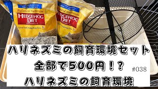 ハリネズミの飼育環境 全部で500円で購入！_#038