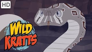 Wild Kratts 🦡🐍 Out for the Hunt! | Kids Videos