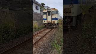 【キハ 47】二軒茶屋踏切を通過し宇宿駅へ向かいます。　#shorts #JR #列車