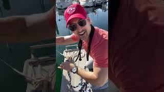 LAY ROPE, Properly! Proper Tok Episode #10