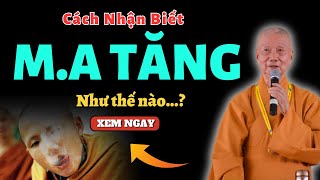 Hòa Thượng Trí Quảng Dạy Cách Phân Biệt M.A TĂNG Và TẠP TĂNG | Ánh Sáng Minh Tuệ