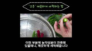 다양한 요리 식재료로 들어가는 당골손님 '고추', 간단히 손질 하는 법 | How to prepare Peppers