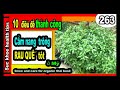 tận dụng chẬu cây rỂ tiỀn cách cắt 265 planter _ tip to save money _ suc khoe health tips