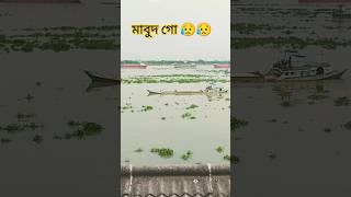 মাবুদ গো আমি একটা পাপি বান্দা মাফ করে দাও  মোরে😮‍💨##ফরইউ #সাবস্ক্রাইব প্লিজ #লাইক #শেয়ার