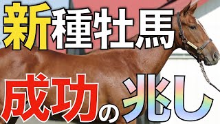 【早くも台頭】先週は2頭の新種牡馬が初勝利！当たり世代となれるか。【一口馬主】