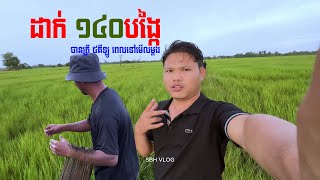 តោះទៅមើល របៀបដាក់បង្កៃប្រើនុយដី មើលម្ដងបានត្រី​៥គីឡូ