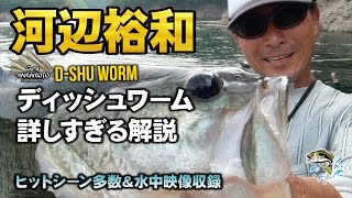 ゲーリー河辺裕和-ディッシュワーム超解説-ヒットシーン多数＆水中映像収録