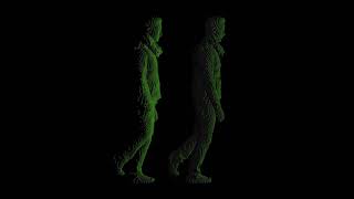 Implicit Functions in Feature Space for 3D Shape Reconstruction and Completion