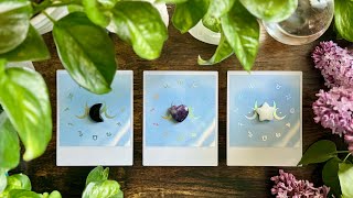 What do you NEED to hear? 🦋🦋🦋🦋 Pick a Card Reading 🦋🦋🦋🦋 (Soul Tribe Reading)