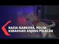 Razia Narkoba, Polisi Kerahkan Anjing Pelacak