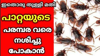 Homemade Cockroach Killer Spray with Sanitizer Malayalam ||How to  Get Rid of Cockroach \u0026 Housefly