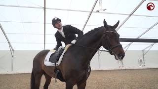 Andreas Helgstrand | Interview | Herning Horse Show