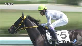 2歳新馬　芝1600m (右 外 A) 　ビーグラッド　牝2　55.0　武豊　2023.9.10　　出走馬：ニエキヤ、ラガークイン、オーシンピーチ、サンセットビュー、ラヴベイ、ラスダシャン他