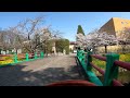 Srarting to see Sakura - Cherry Blossoms in Moka Japan