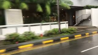 MRTravels to Changi Airport: Shuttle Bus from T3 to T4