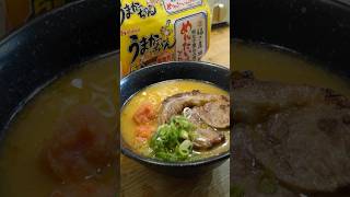 うまかっちゃん めんたい豚骨ラーメン #shorts