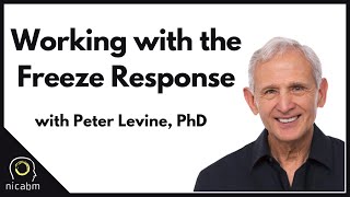 Working with the Freeze Response with Peter Levine, PhD