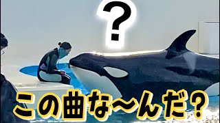 【難問】この曲なーんだ？　鴨川シーワールド　シャチ　ララ