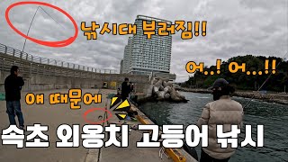 Uh..!! Uh..!! My fishing rod is broken!!!!! - Sokcho Oeonchi Mackerel Fishing