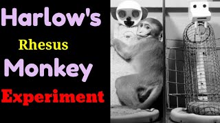 Harlow's Rhesus Monkey Experiment || Spot Psychology