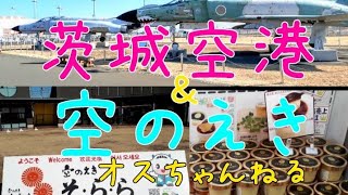 【道の駅】茨城空港見学 空のえきグルメ ビュッフェ 小美玉プリン