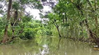 Backwater Travelling । স্বরূপকাঠি । আটঘর । কুড়িয়ানা