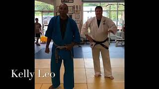 Shidokan Karate Technique