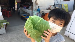 大埔➡️羅湖（羅太豆腐花，無得任食）➡️明輝有機農場➡️大埔。