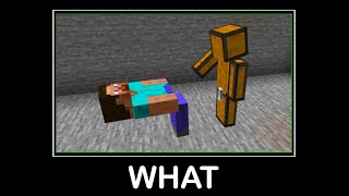 WAIT WHAT (Minecraft) #49