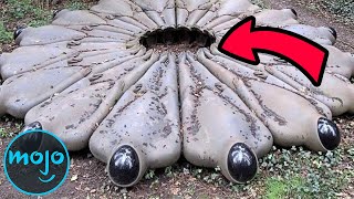 Top 10 Creepiest Things Found in the Woods