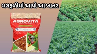 મગફળીના પાકમાં એગ્રોવિટા ના ફાયદા // groundnut crop