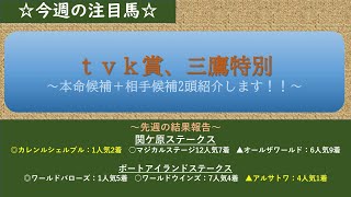 今週の注目馬（tvk賞、三鷹特別　2022）