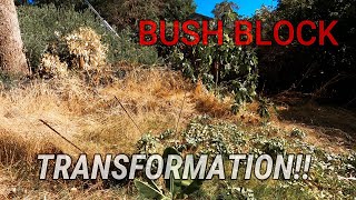 HUGE BUSH PROPERTY TRANSFORMATION! ANOTHER OVERGROWN LAWN