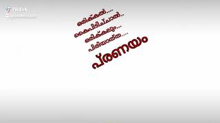 ഒരിക്കൽ കൈ പിടിച്ചാൽ  ഒരിക്കലും പിരിയാത്ത പ്രണയം..