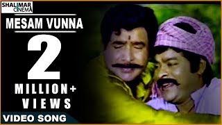 Sneham Kosam Movie ||  Mesam Vunna Video Song || Chiranjeevi,Meena